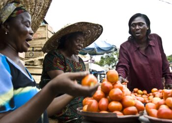 Businessman Sent To Prison For Cheating Tomoato Seller