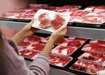 How To Invest In Meat Processing And Packaging Business For Export – Agbaji Chinedu