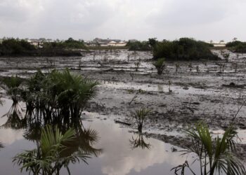 Compel IOCs To Pay Compensation To Degraded Communities – Group tells Tinubu