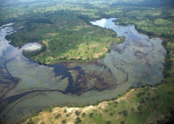 CSOs Task FG To Implement Ogoniland Cleanup Report