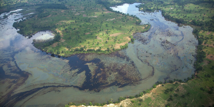 CSOs Task FG To Implement Ogoniland Cleanup Report