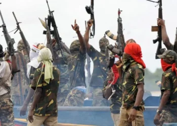 NDDC: Ex-Agitators Back Ogbuku, Commends Commission’s Performance