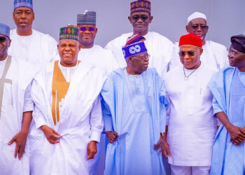 We Are Working to Address Hardship Faced by Nigerians – APC Governors