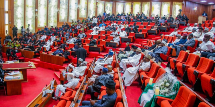 SENATE: Rowdy Session Over Alleged Uneven Distribution of Loan to MSMEs