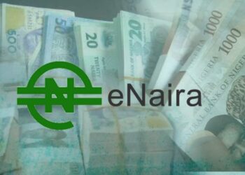 CBN Urges Universities to Adopt e-Naira For Payments