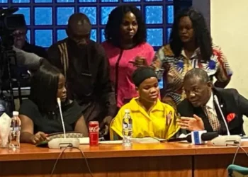 Mmesoma Appears Before House Of Reps, Apologizes To Nigerians