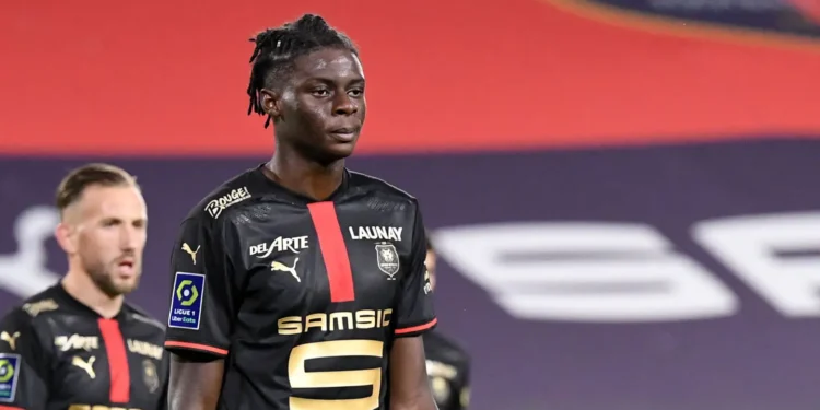 Chelsea Sign Nigerian Player, Ugochukwu, For €27.5m