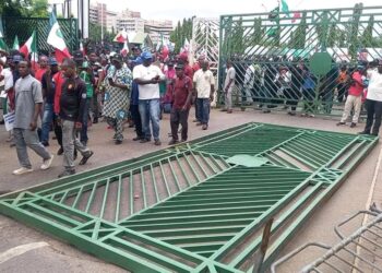 Senate Sets Up Dialogue Committee As Protesters Pull Down Nat’l Assembly Gate