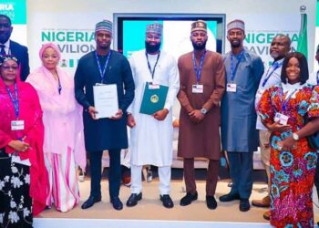 Nigeria and China Sign $150 Million Deal For Battery Manufacturing Plant