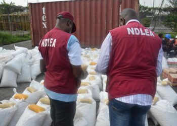 NDLEA Bursts Drug Abuse Competition At Wedding Party Arrests Groom, 25 Others