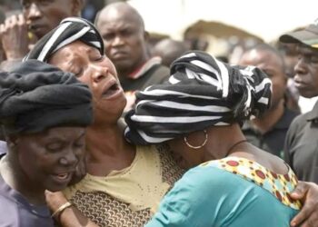 Miyetti Allah condemns Plateau killing