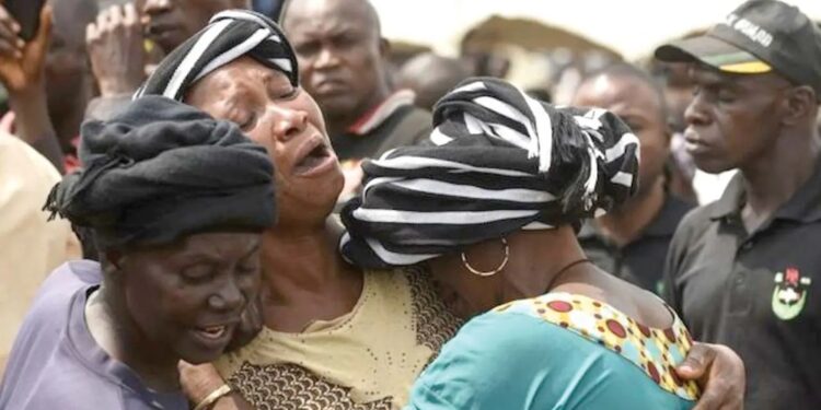 Miyetti Allah condemns Plateau killing