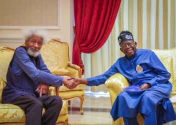 I’ll Give My Assessment Of Tinubu After 1 Year – Soyinka