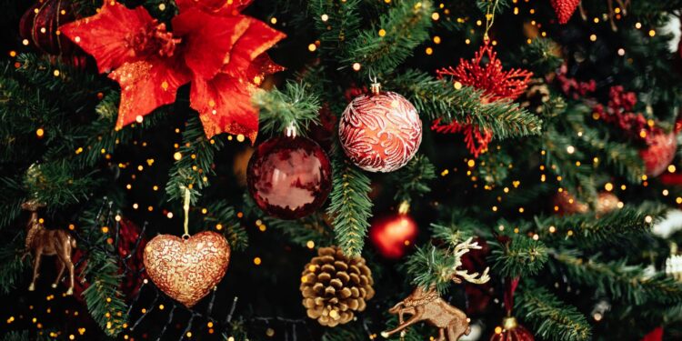 Christmas Merrymaking Is Worthless If You Do Not Help The Poor – Bishop