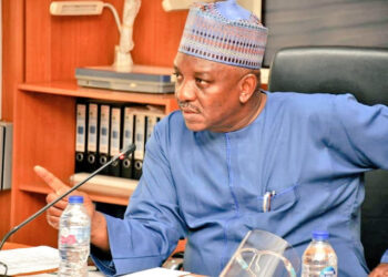 Former Power Minister Granted N10bn Bail by Abuja Court