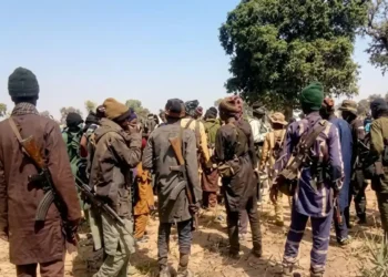 Over 100 Worshippers Kidnapped as Bandits Attack Churches in Kaduna