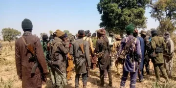 Over 100 Worshippers Kidnapped as Bandits Attack Churches in Kaduna