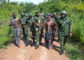 Nigerian Troops Rescue 62 Hostages in Kebbi