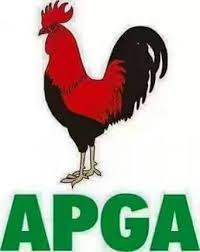 APGA 2026 Anambra LG primaries