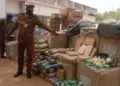 NDLEA Seizes Illicit Drugs Worth N2.8bn in Jigawa