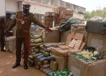 NDLEA Seizes Illicit Drugs Worth N2.8bn in Jigawa