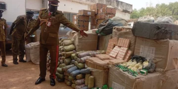NDLEA Seizes Illicit Drugs Worth N2.8bn in Jigawa
