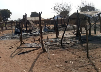 Niger State Attack: Tinubu Orders Security Hunt After Deadly Assault on Borgu Community