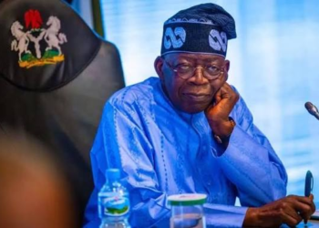 Tinubu’s foreign trips yielding local gains, warming global ties — Aide