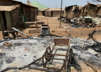 Niger Military Drone Strike Killed 17 Civilians in January — HRW