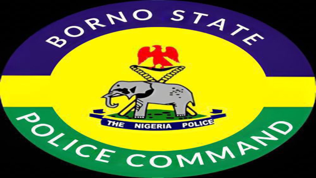 police officer commended for returning ₦2.6m erroneous transfer in Borno
