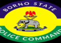 Police Officer Commended for Returning ₦2.6m Erroneous Transfer in Borno