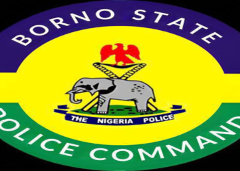 Police Officer Commended for Returning ₦2.6m Erroneous Transfer in Borno