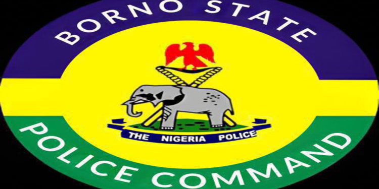 Police Officer Commended for Returning ₦2.6m Erroneous Transfer in Borno