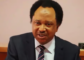 Shehu Sani Backs Remi Tinubu Over US Air Strikes in Sokoto