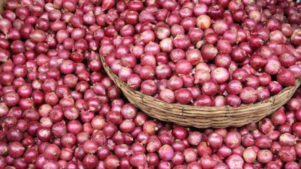 Nigeria produces 2.1 million metric tonnes of onions annually