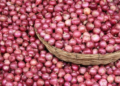 Nigeria’s Annual Onion Output Hits 2.1m Metric Tonnes — Marketers