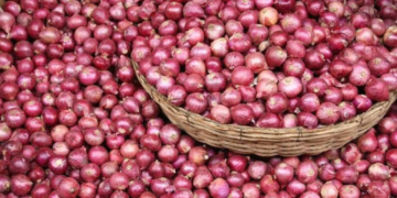 Nigeria’s Annual Onion Output Hits 2.1m Metric Tonnes — Marketers
