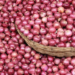 Nigeria’s Annual Onion Output Hits 2.1m Metric Tonnes — Marketers