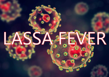 Lassa Fever: Kwara Threatens Sanctions Over Poor Food Hygiene