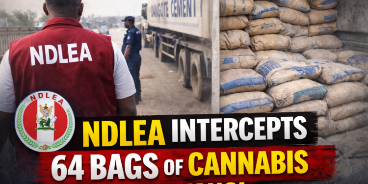 NDLEA intercepts 64 bags of cannabis in Kano as officers bust cement-laden trailer on Zaria–Kano road