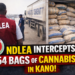 NDLEA intercepts 64 bags of cannabis in Kano as officers bust cement-laden trailer on Zaria–Kano road