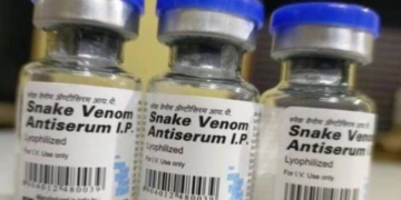 FCTA Ensures Antivenom Availability Across Abuja Public Hospitals After Snakebite Outrage