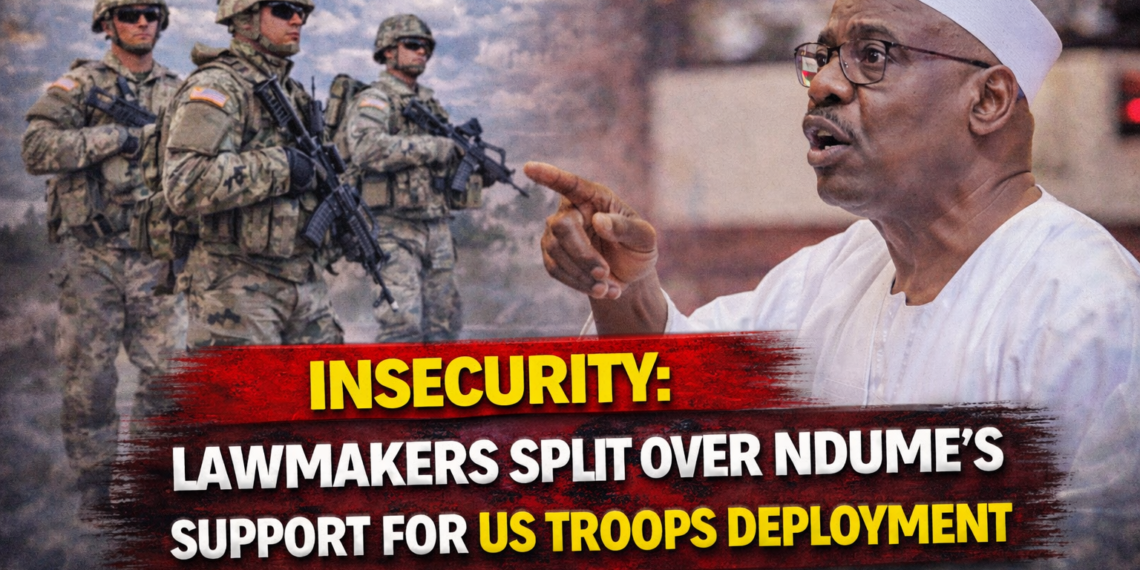 Lawmakers split over Ndume’s support for US troops deployment