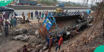 Six Dead, Over 20 Injured as Truck Carrying Goods and People Crashes on Lagos-Ibadan Expressway