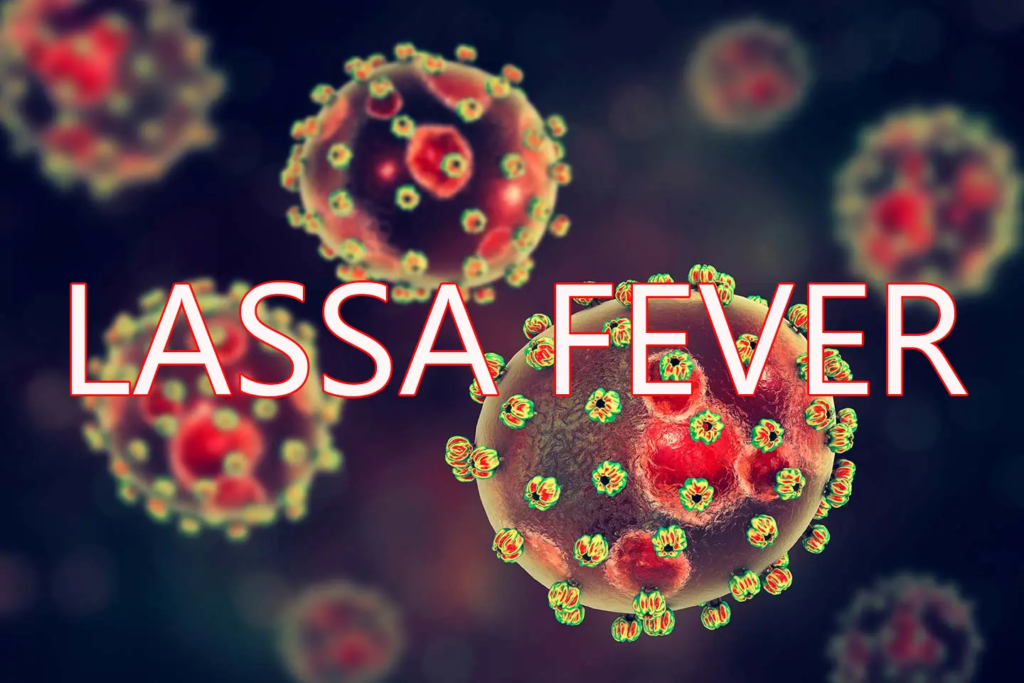 Lassa fever kills one, infects two in Kano — Official
