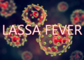 Lassa Fever Kills One, Infects Two in Kano — Official Raises Alarm Over Fresh Outbreak