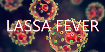 Lassa Fever Kills One, Infects Two in Kano — Official Raises Alarm Over Fresh Outbreak