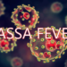 Lassa Fever Kills One, Infects Two in Kano — Official Raises Alarm Over Fresh Outbreak