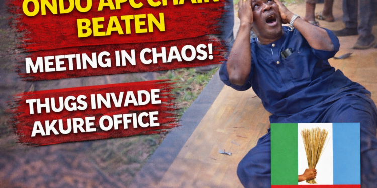 Ondo APC chair beaten as party meeting erupts in chaos