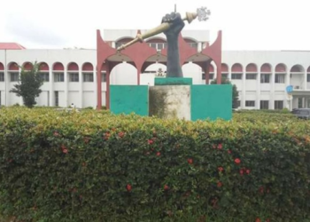 Anambra assembly moves to recall lawmaker suspended over social media post, reopening debate on legislative discipline and free speech
